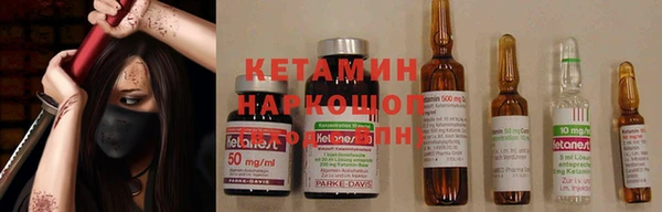 амф Алексин