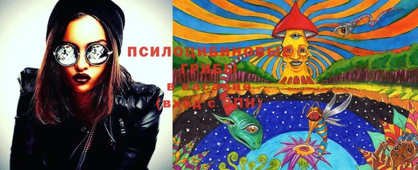 амф Алексин