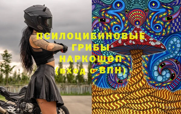 амф Алексин