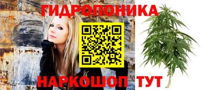 стафф Малгобек