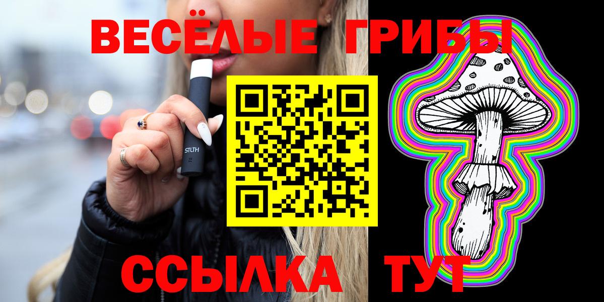 Псилоцибиновые грибы мицелий  Вход с VPN  Черкесск 